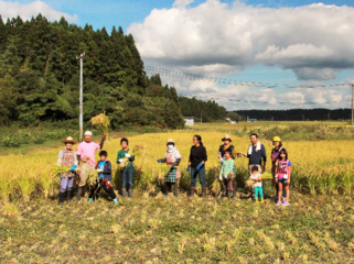 歌のある稲刈りプロジェクト のトップ画像