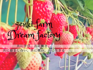 埼玉県鴻巣市"夢工房翔裕園"のいちご農園に新システムを導入！ のトップ画像