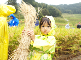 日本棚田百選！山形県「大蕨棚田」の元気を再生したい！ のトップ画像