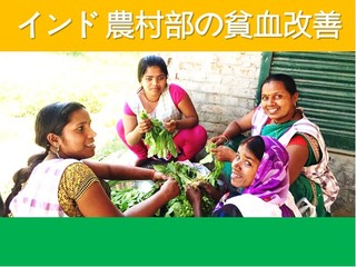 鉄なすが貧血の危機を救う！インドへ届け鉄なすプロジェクト！ のトップ画像