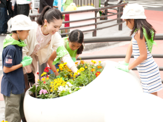 デザイン・アートのまち六本木をきれいな草花で彩りたい！ のトップ画像