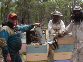 西豪州のジャラの森を守り、奇跡のハチミツを届け続けたい。 のトップ画像