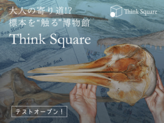 ”触る”博物館Think Square　テストオープン！ のトップ画像