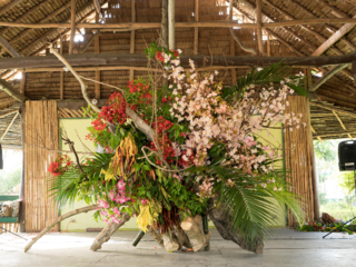 パラオで作った友好のいけばなをテーマに記録映像を作りたい！ のトップ画像