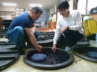 地域活性化を目指し、徳島大学の学生が藍染体験イベントを開催！ のトップ画像