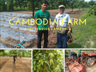 農家を夢見るカンボジアの若者たちと農場を発展させていきたい！ のトップ画像