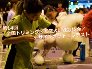 ペットと人が共存する社会に向けた競技会を武道館で開催したい！ のトップ画像