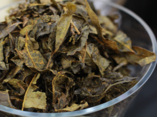 徳島産 乳酸菌発酵茶「阿波晩茶」を日本の発酵茶代表に育てたい のトップ画像