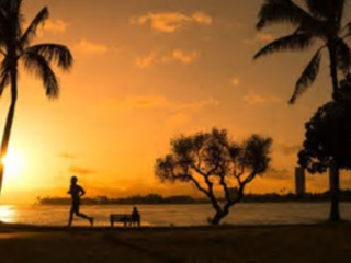 Youtuberがホノルルマラソンに挑戦し、誰かの勇気になりたい！ のトップ画像