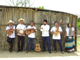 メキシコの伝統音楽「ソンハローチョ」の現場を映像で伝えたい！