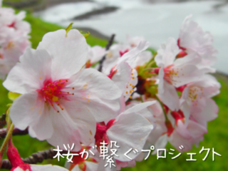 伊豆の最南端にある老人ホームを人の集う拠点にしたい！ のトップ画像