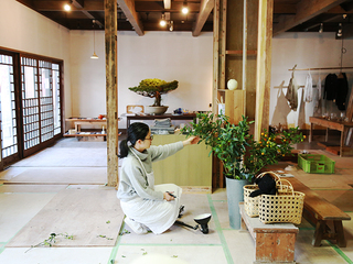 有田焼の町で、築１００年の陶磁器商家に新しい息吹を！ のトップ画像