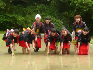 伝統衣装で豊かな自然を守る孟子不動谷の田植えを知って欲しい！ のトップ画像