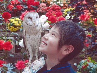 静岡県 富士花鳥園 南の鳥ふれあいエリア復活プロジェクト始動！