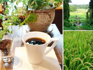 坪沼産のお米で作られた体に優しい『お米の珈琲』をお届けしたい のトップ画像