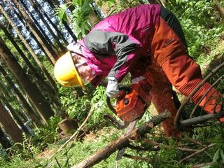 全国林業地密着取材ー森の仕事リクルート情報サイトの作成！