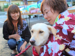 犬猫の代弁者になる。動物と家族に寄り添うフリーペーパー継続！ のトップ画像