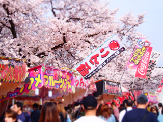 河津桜まつりで無農薬野菜と無添加味噌の飲食店をやりたい！ のトップ画像