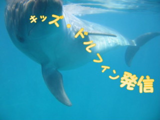 個性あふれる子どもたちへ共に学ぶ環境を届けたい！ のトップ画像