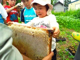 北海道の蜜蜂とハーブのガーデンに休憩所やトイレを設置したい！