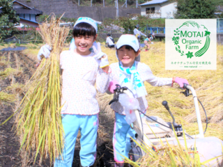 岐阜県母袋の美しい風景を守りたい！里山再生プロジェクト！ のトップ画像