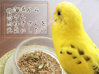 "とりきち横丁"第1号店オープン!鳥さんたちが暮らしやすい社会を のトップ画像