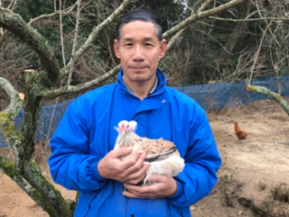 チリ原産の原種アローカナ鶏の栄養豊富な美味しい玉子を広めたい のトップ画像