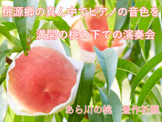 桃源郷の真ん中でピアノの音色を。満開の桃花の下で演奏会開催へ のトップ画像