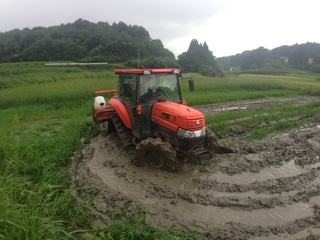 福島の水田から放射性物質を取って、安心してお米を作りたい！