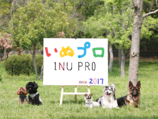 犬の正しい情報発信と共有をし、犬と人の未来をより良くしたい！ のトップ画像