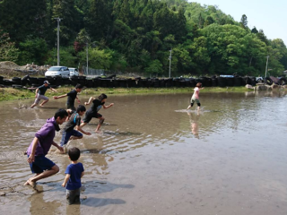 里山を作り「食」を学ぶ。子どもたちに食育の場を広島県に！ のトップ画像