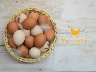 ワタナベファームの産みたて卵をいつでも食べてもらいたい！ のトップ画像