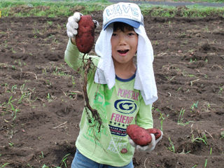 富士山の麓で子どもたちが楽しく遊べる農業公園をつくりたい のトップ画像