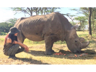 ケニアから配信！絶滅迫る動物たちの為のチャンネルを作りたい！ のトップ画像