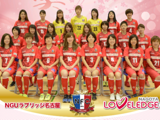走れ蹴球ガールズ！NGUラブリッジ名古屋の強化費用を集めたい のトップ画像