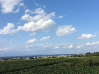 都会にはない田舎の良さを！宮城県「色麻町」フリーペーパー作成 のトップ画像