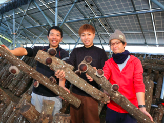 みんなで地域おこし！岡山で里山再生×原木椎茸栽培プロジェクト