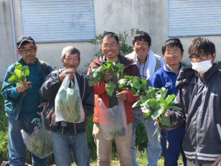 障がいを持った方が丁寧に育てた無農薬野菜をドレッシングに！ のトップ画像