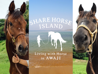くらしに馬を　保護した馬達の居場所と仕事を淡路島の里山に創る のトップ画像