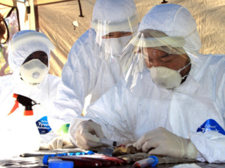 致死率最大90%にもおよぶ「エボラ出血熱」治療薬開発の一歩へ のトップ画像
