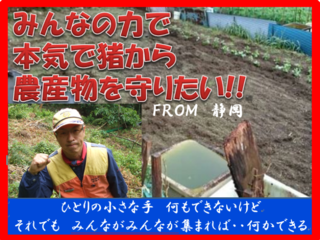 静岡市中山間地の農産物を猪から守りたい！檻オーナーを募集！ のトップ画像