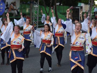 よさこい祭りで、おもてなし。海外チームへの宿泊支援を！ のトップ画像