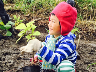 洞爺湖で、地球からの愛を体感しながら学ぶ植樹祭を開催したい。 のトップ画像