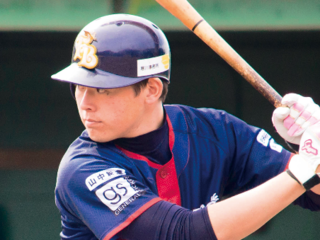 和歌山ファイティングバーズ　球団を支えるサポーター募集中 のトップ画像