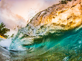 ハワイの海を後世に残すため、カメラマンの僕が今できることを のトップ画像
