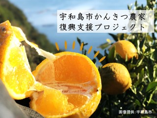 農業関係の被害総額150億円 愛媛県宇和島市の柑橘農家にご支援を のトップ画像