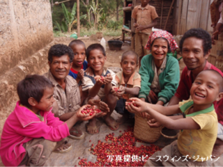 コーヒー×観光で東ティモールの小規模コーヒー農家の収入向上 のトップ画像