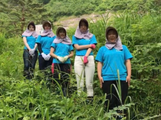 福島の花を絶滅から守るおじいちゃんのために山道に階段を。 のトップ画像