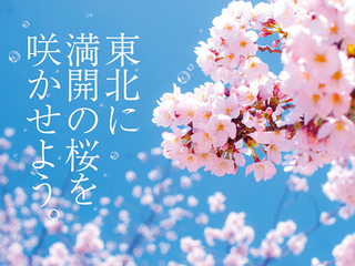 宮城県の亘理町に震災復興を見守る桜の木を神戸から贈りたい！