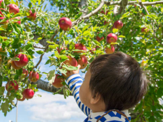 りんごの町・弘前から、作り手を感じる『美味しい』を伝えたい！